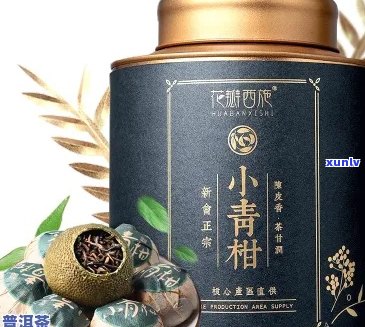 '小青桔普茶十大牌子：精选列表'