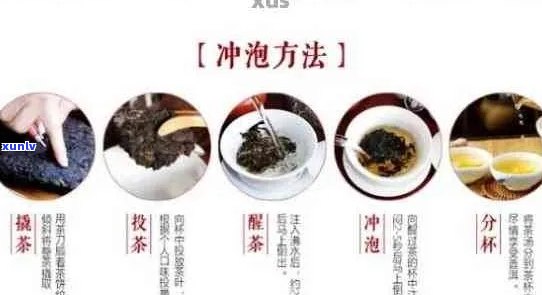 关于普洱茶的7种冲泡 *** ，你都会哪些？普洱茶冲泡 *** 讲解及最简单步骤