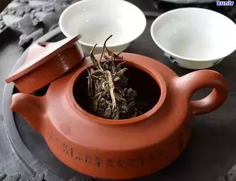 新 普洱茶的苦涩味令人难以忍受，可能你泡茶的方式不对