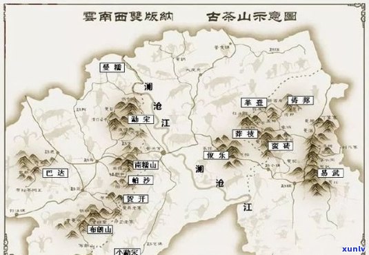 2021年普洱茶各大山头价格行情分析：古树茶、名山茶、陈年老茶等品种一览