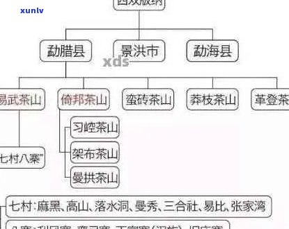 普洱茶两大山系：哪座山的茶叶更好？如何挑选和品鉴？