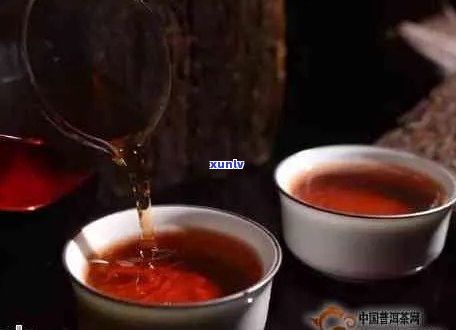 普洱茶茶叶油味：真相揭秘与品尝技巧