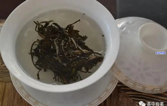 饮水机能用普洱茶吗？怎么泡？为什么不能？