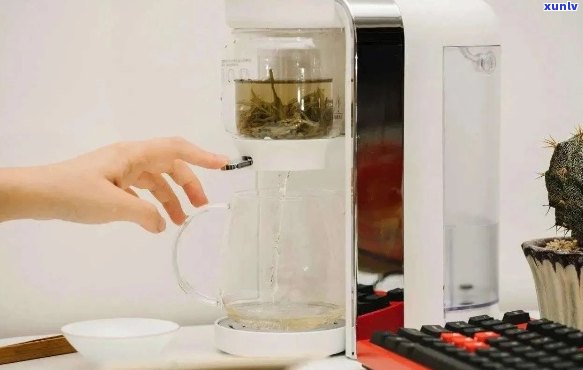 如何利用饮水机为茶叶提供的泡茶体验？