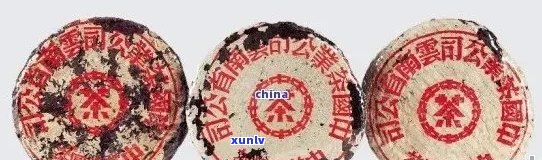 黄印普洱茶是什么意思：分类及特点解析