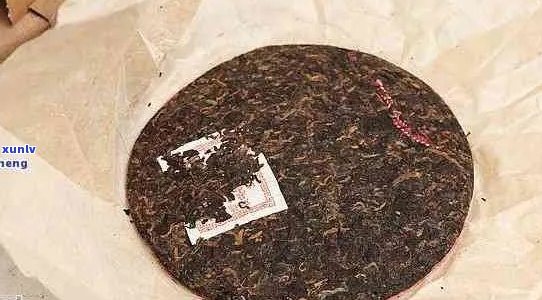 普洱茶饼品质等级指南：从入门级到顶级收藏品的详细对比