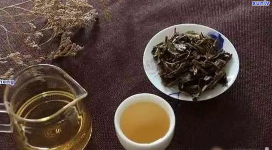 喝普洱茶饿得发慌正常吗？怎么办？