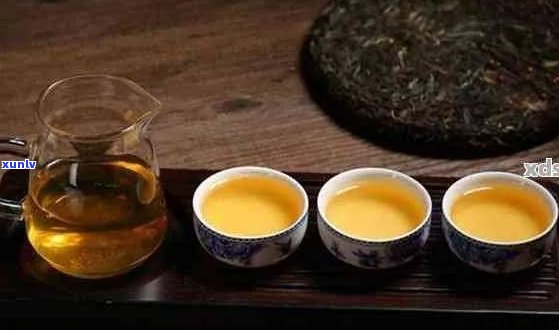 普洱茶的醇厚口感：喝完后的饥饿感探究