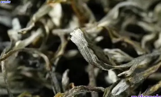 普洱级茶叶：品味生津的云南名茶详解