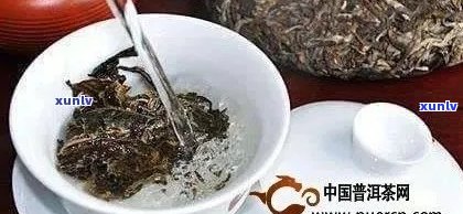 京东的大益普洱茶怎么样