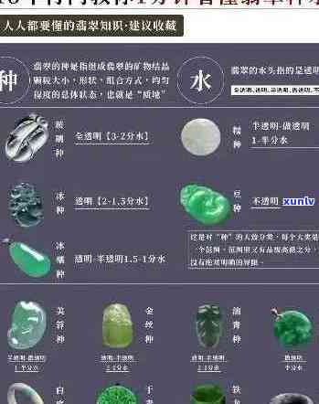 买翡翠怎么问显得自己懂行