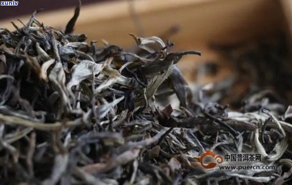 普洱茶叶与干茶 *** 比例：几斤叶能制一斤干茶？