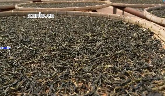 普洱茶叶与干茶 *** 比例：几斤叶能制一斤干茶？