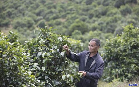 原子贷逾期6年了会怎样处理