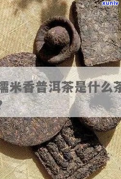 普洱茶有米香叫什么