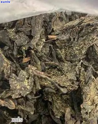 金花普洱茶的优势与品质：一篇全面解析