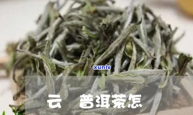 云卷云是普洱茶吗