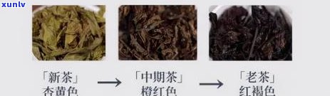 普洱茶的茶梗有什么好处和功效？