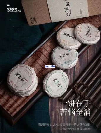 陈升号比大益茶贵好多 - 优质普洱茶的成本分析