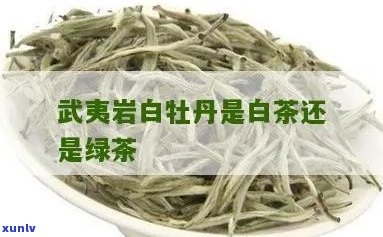 白石岩茶属于什么茶类？是否为绿茶？