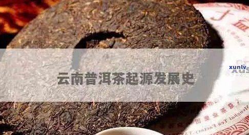 云南普洱茶：从起源到的全面概述