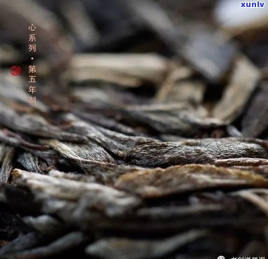 书茶叶普洱茶生茶品质与真假鉴别，云南价格及与书剑普洱茶对比分析