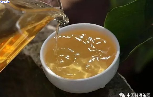 普秀普洱茶：哪款口感？如何选择适合自己的普洱茶？