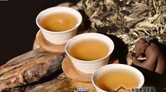 普秀普洱茶：哪款口感？如何选择适合自己的普洱茶？