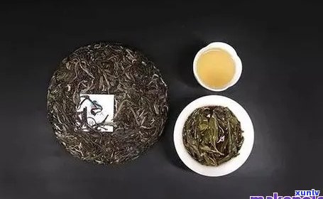 普秀普洱茶：哪款口感？如何选择适合自己的普洱茶？