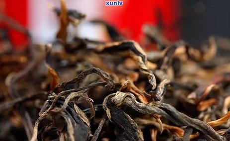 探究古树普洱茶的醇厚滋味与独特冲泡技巧：一份全面指南