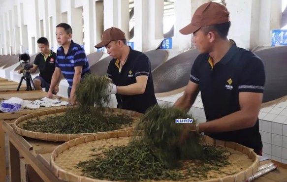 勐海建明茶厂：品质越的茶叶生产基地，为您带来全面的茶文化体验