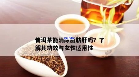 普洱茶对脂肪肝的作用及预防措详解：真实有效还是谣言？