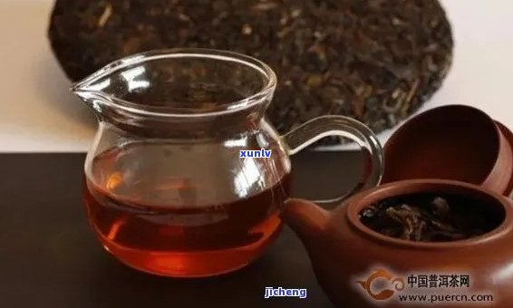 普洱茶与脂肪肝：科学研究揭示的惊人功效