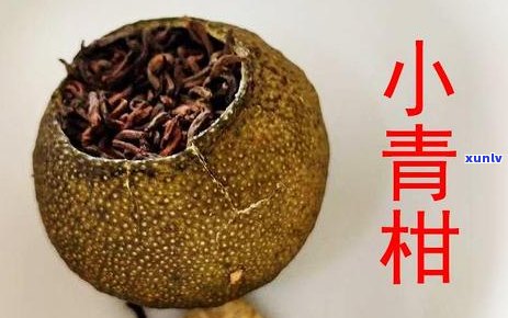 宫廷普洱茶冲泡全指南：了解详细步骤，品味皇家品质茶香