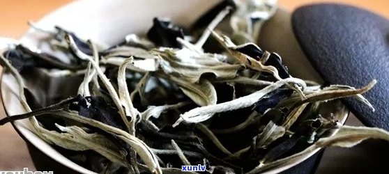 月光白普洱茶：功效、作用与健益处一览