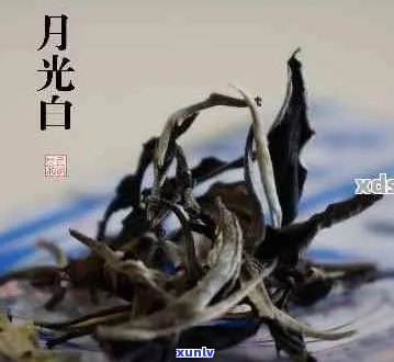 月光白普洱茶：功效、作用与健益处一览