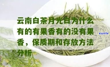 普洱月光白茶的保存期限及其品饮 *** 