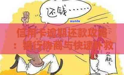 哈儿滨信用卡多久才算逾期(哈尔滨银行信用卡逾期多久会上征信多久可以消除)