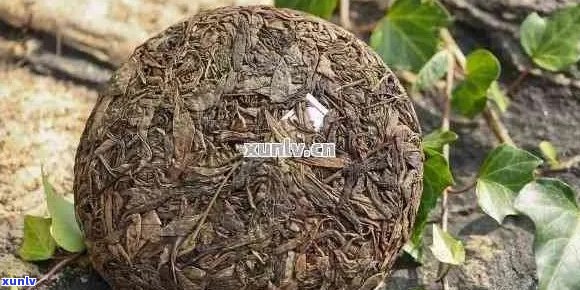 600年古树普洱茶多少钱一斤：老树茶饼普洱茶详情与评价