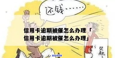 信用卡逾期催款怎么接