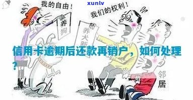 信用卡销户后逾期处理：如何解决？