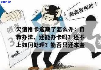 欠信用卡逾期了自救的办法：无法偿还怎么办，还不上怎么办？