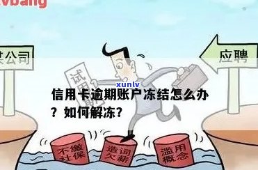 信用卡逾期后，多久会申请冻结财产？解答疑惑并提供应对策略