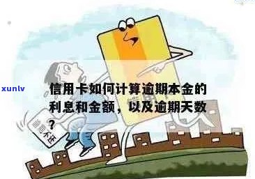 信用卡逾期利息是否纳入本金计算：全面解析与相关政策