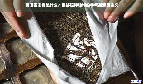 新 '探究普洱茶独特香气的源由：科技、土与工艺的综合影响'