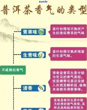 新 '探究普洱茶独特香气的源由：科技、土与工艺的综合影响'