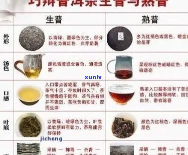 普洱茶的性质：寒性还是热性？从科学角度解析其功效与适用人群