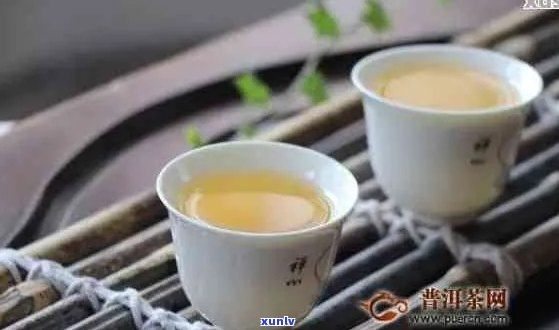 普洱茶：热性还是凉性？揭秘其性质及适用人群