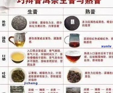 普洱茶：热性还是凉性？揭秘其性质及适用人群