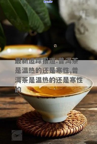 普洱茶是寒性是热性